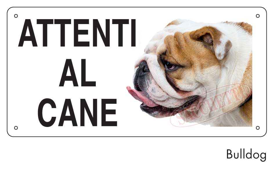 Attenti al cane Bulldog