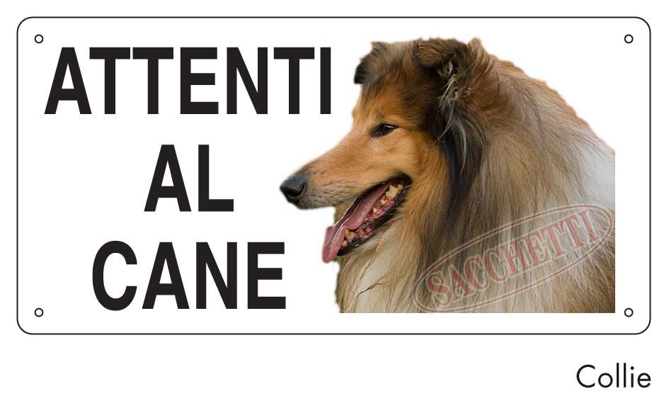 Attenti al cane Collie