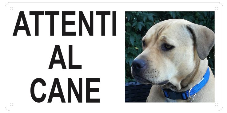 Cartello "Attenti al Cane" (personalizzato)