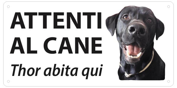 Cartello "Attenti al Cane" (personalizzato)