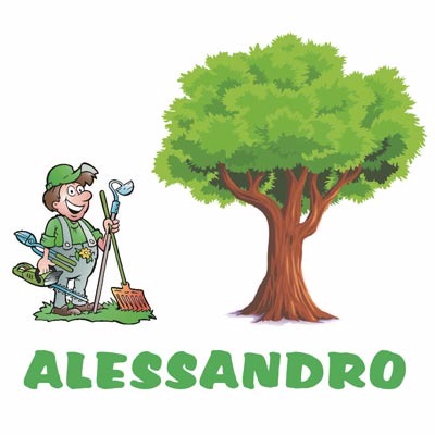 Ordine via WhatsApp