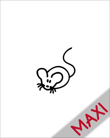 Topolino - Maxi Adesivi Famiglia per Camper