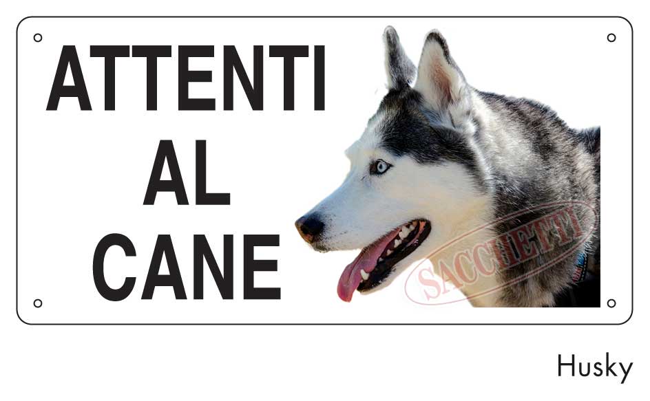 Attenti al cane Husky