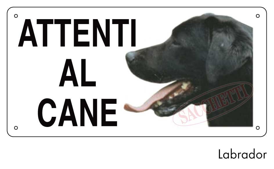 Attenti al cane Labrador