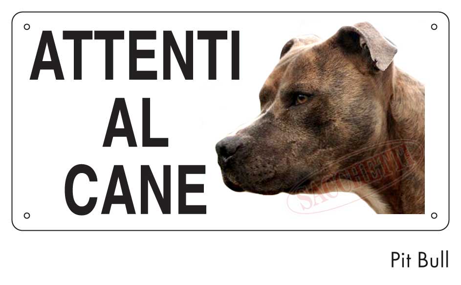 Attenti al cane Pit Bull