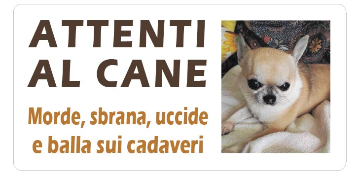 Cartello "Attenti al Cane" (personalizzato)