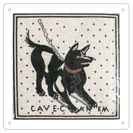 Cartello "Attenti al Cane" (personalizzato)