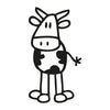 Mucca