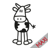 Mucca