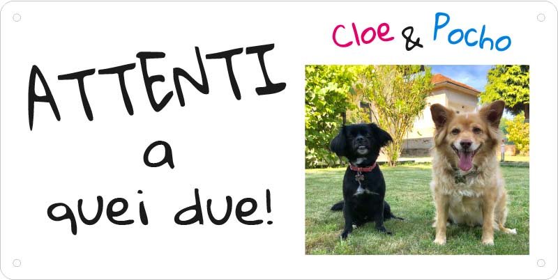 Cartello "Attenti al Cane" (personalizzato)