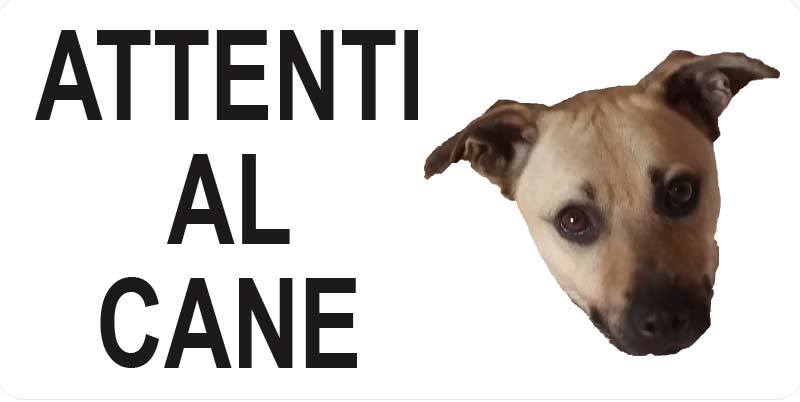 Cartello "Attenti al Cane" (personalizzato)
