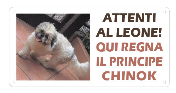 Cartello "Attenti al Cane" (personalizzato)