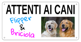 AC019 - "Attenti ai cani" con nomi personalizzabili